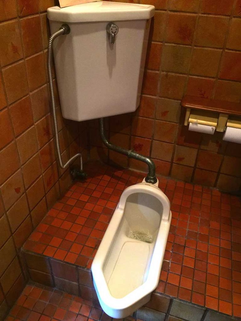Panduan penting memakai toilet di Jepang ClimChalp
