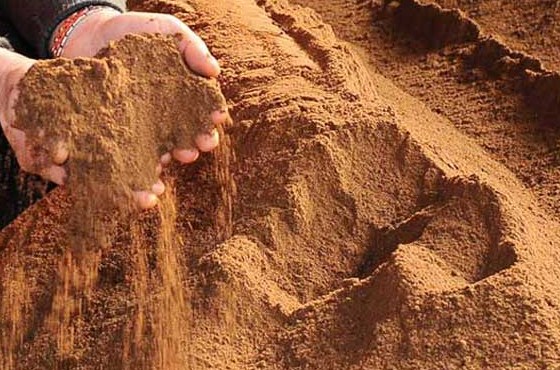 palm kernel expeller